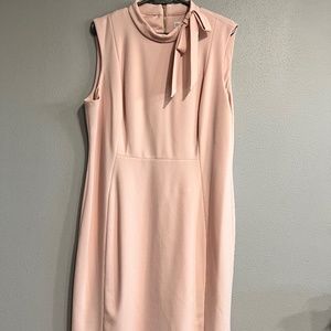 Calvin Klein Pink Nude Dress